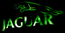 Jaguar Logo